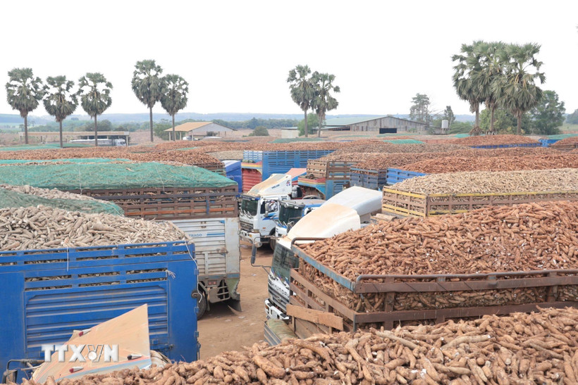 Bộ Công Thương phối hợp tháo gỡ vướng mắc về an toàn thực phẩm tại cửa khẩu